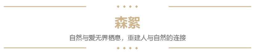 1781173774515465.png